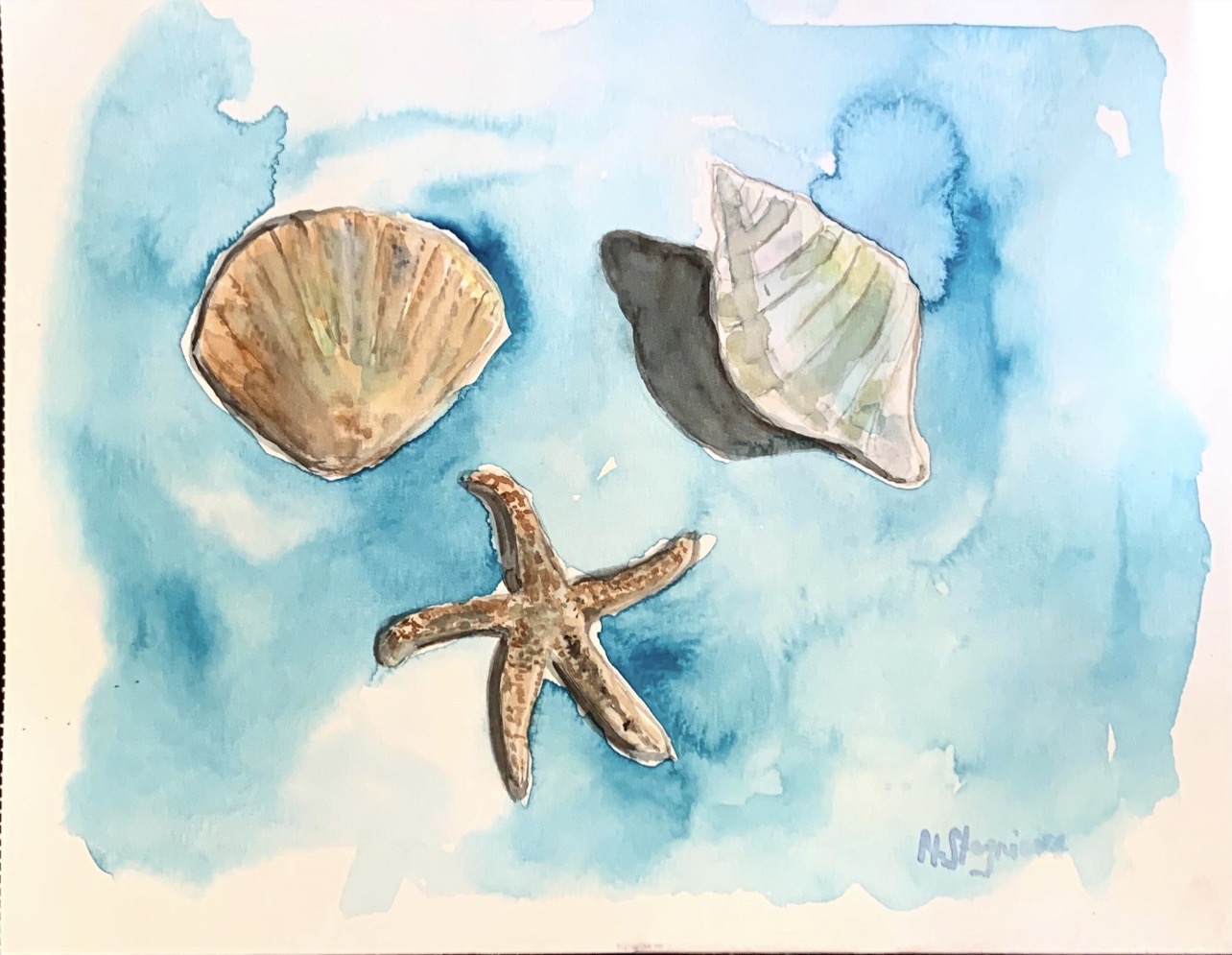 Seashells watercolor painting by Marina Stognieva